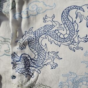 Vintage Dragon Print Men's Dress Shirt